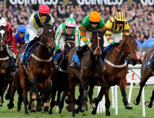 CHELTENHAM FESTIVAL AND GOLD CUP